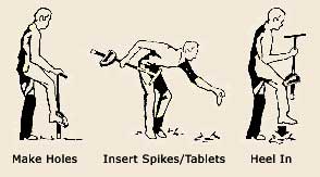 Fast Feeder Instructional Diagram